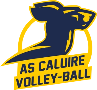 Logo AS Caluire Volley-Ball - Client utilisateur référence logiciel kalisport pour association sportive